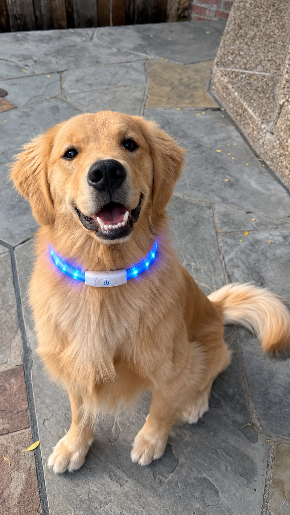 Collar LED Kailo